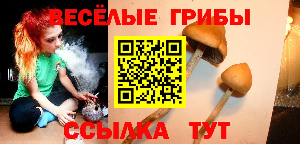 Псилоцибиновые грибы прущие грибы  Галлюциногенные грибы Psilocybine cubensis  Вход с VPN  Губаха 