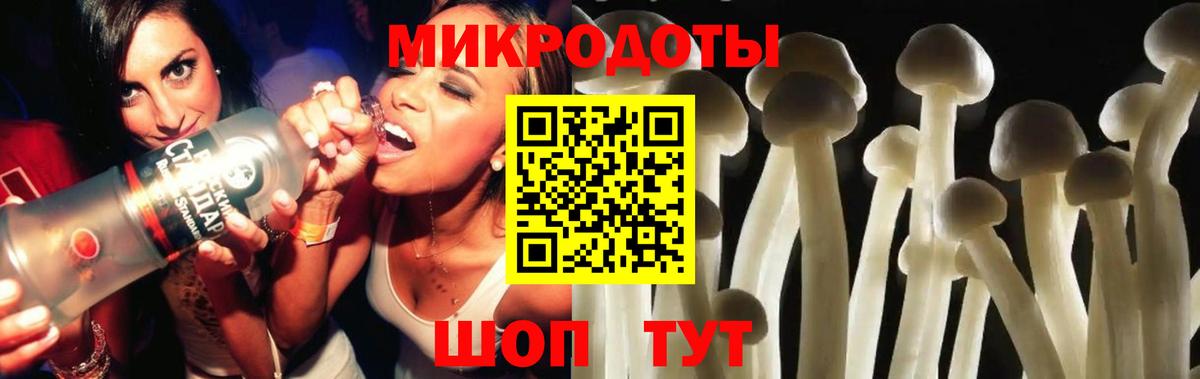 Галлюциногенные грибы Magic Shrooms Губаха